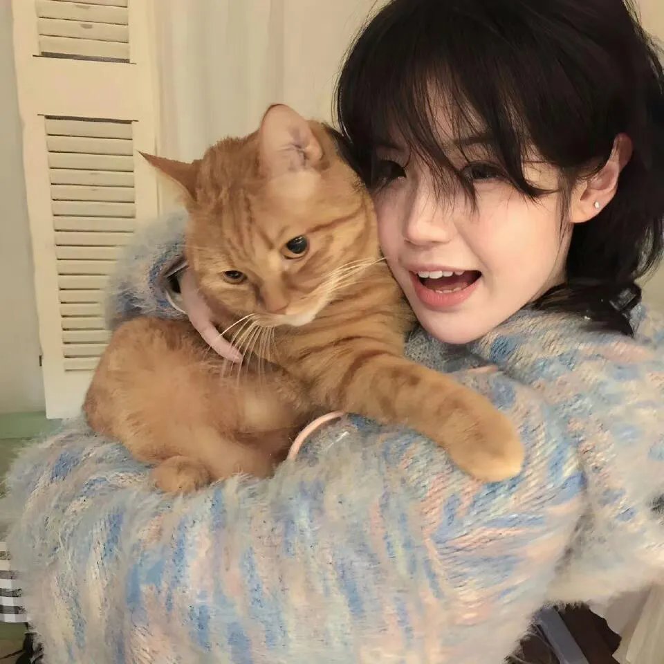 出柙猛虎