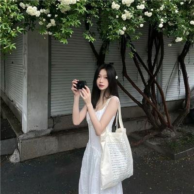 泡芙小姐第四季